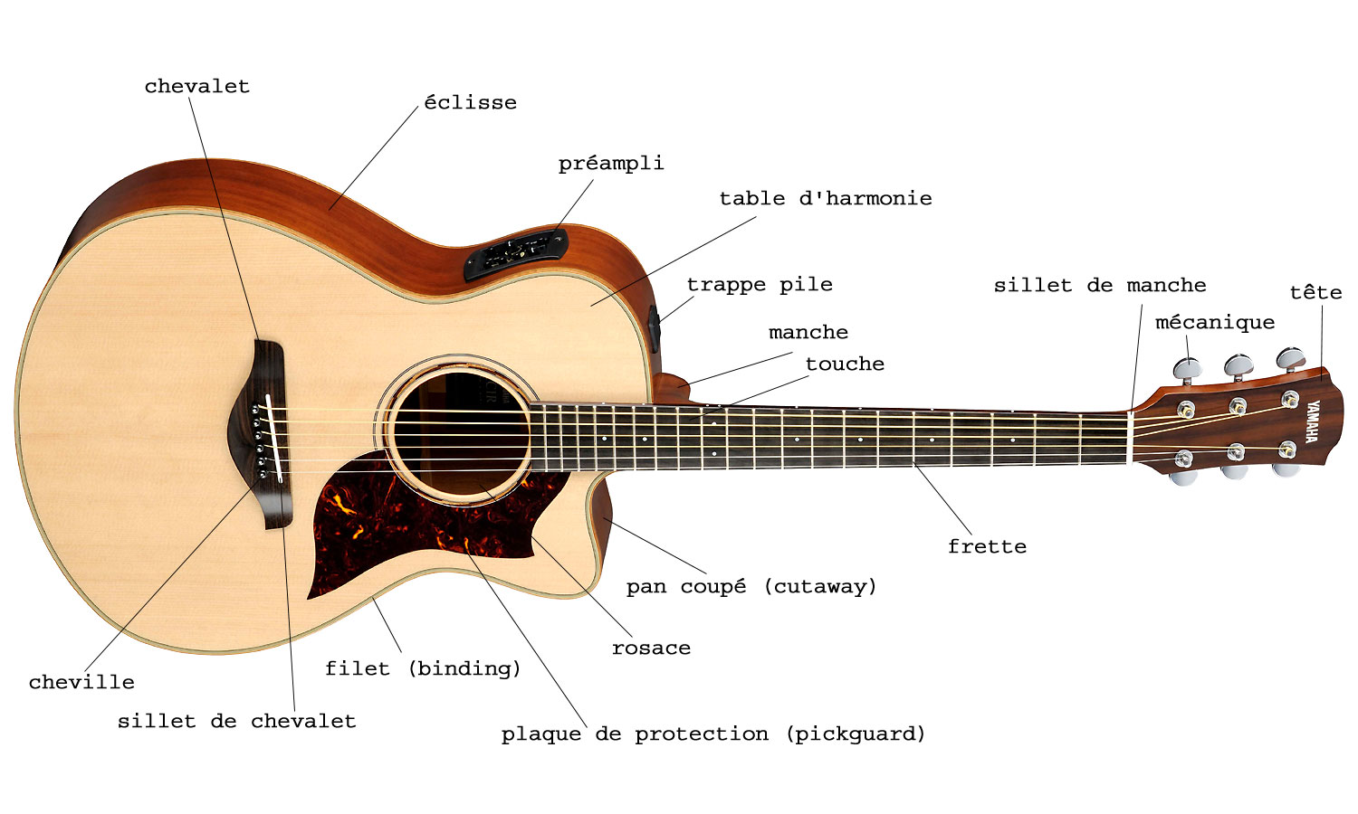 Comment choisir une guitare ?